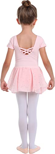 Ballet Pink Toddler Girls Long Sleeve Ballet Leotard with Glitter Tutu Dress - A1 (Short Sleeve) 2-3T