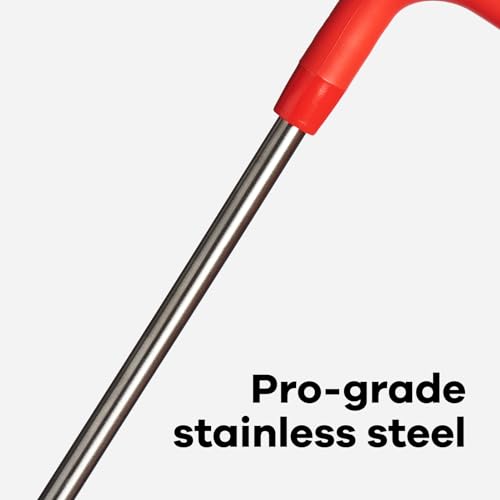 Hydro Flask Stainless Steel Straw Set Goji