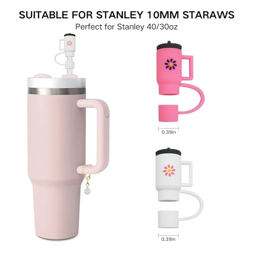 bocowia 2pcs Straw Cover for Stanley Cup,Silicone Straw Covers Cap for Stanley Cup 40 oz,Straw Topper with 30 oz Tumbler,2pcs Initial Letter Charms Accessories for Stanley Tumblers and Water Bottles