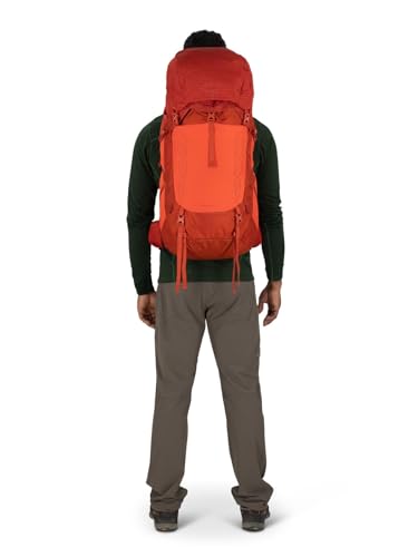 Osprey Talon Pro 40L Men's Hiking Backpack with Hipbelt, Silver Lining, L/XL