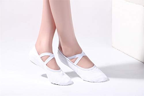 Women Canvas Ballet Slippers Dance Shoes - White Band, Adult