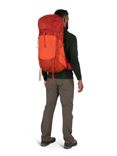 Osprey Talon Pro 40L Men's Hiking Backpack with Hipbelt, Silver Lining, L/XL