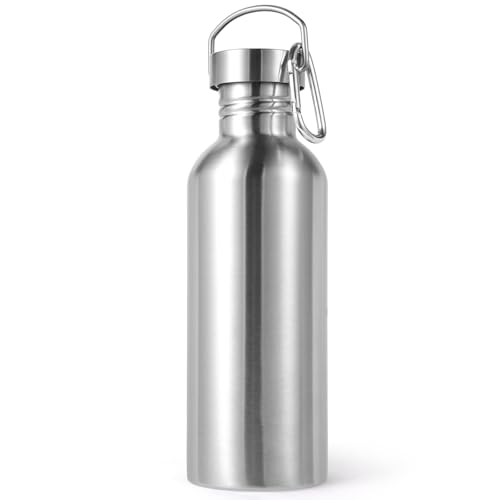 Uninsulated 32oz Stainless Steel Water Bottle with Handle - Silver