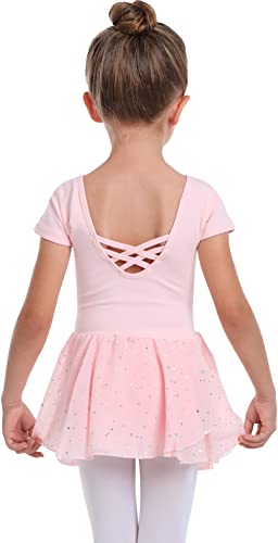 Ballet Pink Toddler Girls Long Sleeve Ballet Leotard with Glitter Tutu Dress - A1 (Short Sleeve) 2-3T