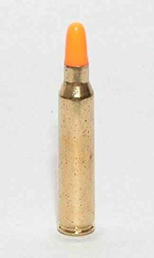 .223 REM Dummy Rounds - Pack of 10 Inert Safety Trainer Cartridges for AR-15/M16