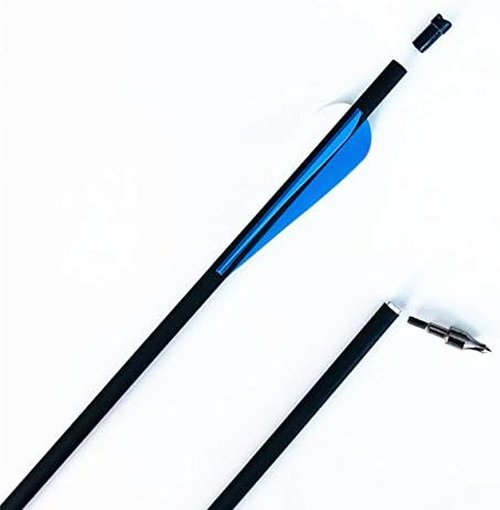 GPP Hunting Archery Carbon Arrow 20" Crossbow Bolts Arrow with 4" vanes and Replaced Arrowhead/Tip