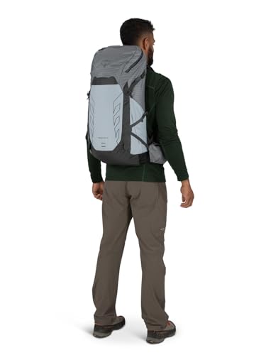 Osprey Talon Pro 30L Men's Hiking Backpack with Hipbelt, Silver Lining