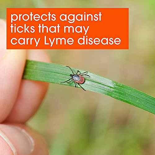 OFF! Deep Woods Insect Repellant Spray, 6 Ounce (Pack of 3)