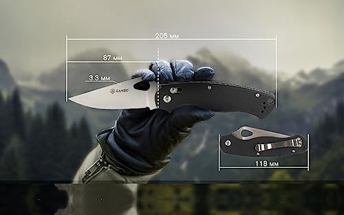Ganzo G729-BK Folding Pocket Knife with 440C Steel Blade and G10 Handle - Black