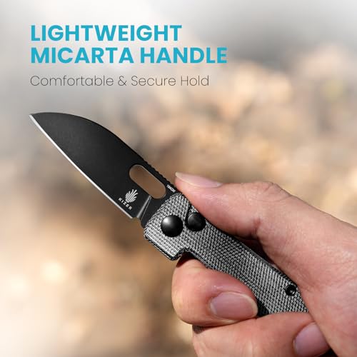 Kizer Banish Folding Pocket Knife Black Micarta Handle 2.3" 154CM Steel Blade