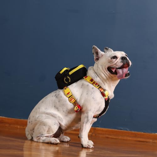 PawLook Dog Backpack to Wear with Chest Harness Self Carrier dogbag with Additional Pocket for Poop Bag Anti Slip Stylish Dog Bag for Your pet Gimme Five Serie Black Small