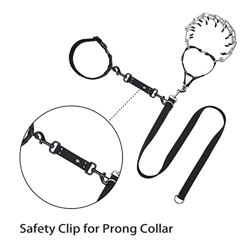 Dog Collar Backup 2 Pack Safety Clip for Prong, Martingale & Flat Collars