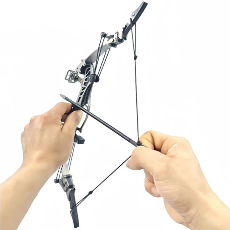 16" Compound Bow and Arrow Set 16lbs, Right/Left Handed for Target Shooting Hunting Games Archery Bow Set Gift