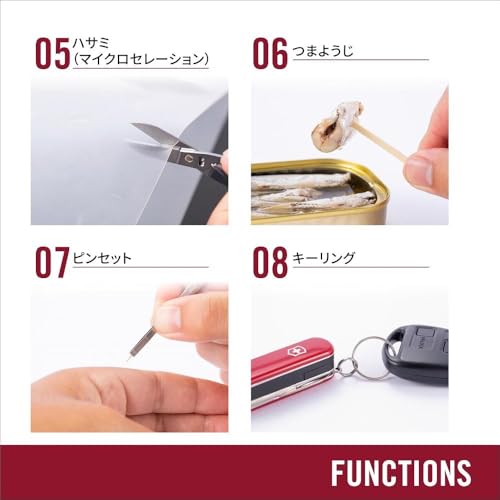 Victorinox Folding Pocket Knife Nail Clip 580 - Swiss Made Multi-Tool