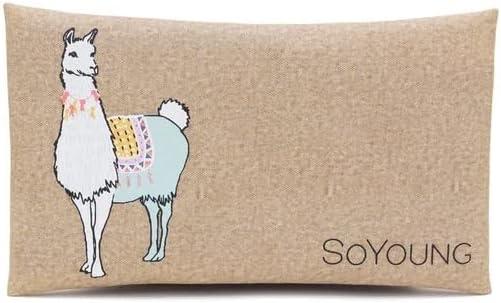 SoYoung Ice Pack - Adults - Kids - Lunch Boxes - Coolers - Backpacks - Eco-Friendly - Non-Toxic - Blue Dinosaur