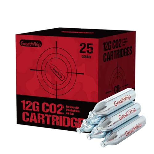 GreatWhip 25 x 12g CO2 Cartridges Non-Threaded Compatible to CO2 BB Gun, Air Gun, Airsoft Gun, Air Pistol, Air Rifle (25 Count)