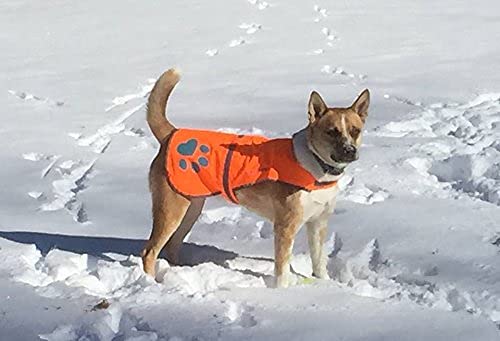SafetyPUP XD Blaze Orange, Reflective Dog Vest & Bandana (Medium). Safety Gear to Help Prevent Hunting & Motorist Accidents.