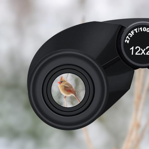 12x25 Compact Binoculars for Adults and Kids - Lightweight, Waterproof, Portable Viewing