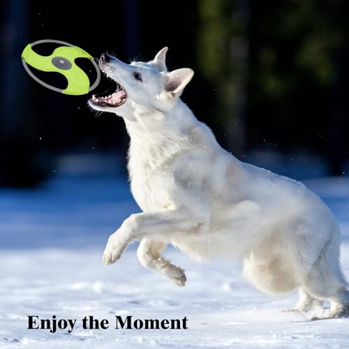 LED Dog Flying Disc - Rechargeable Glow in The Dark Pet Toy for Training - Green-3