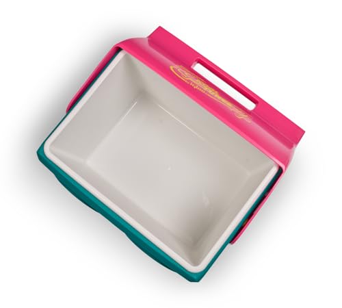 Igloo Jade Playmate Kool Tunes