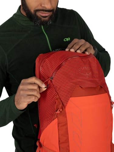 Osprey Talon Pro 20L Men's Hiking Backpack with Hipbelt, Silver Lining
