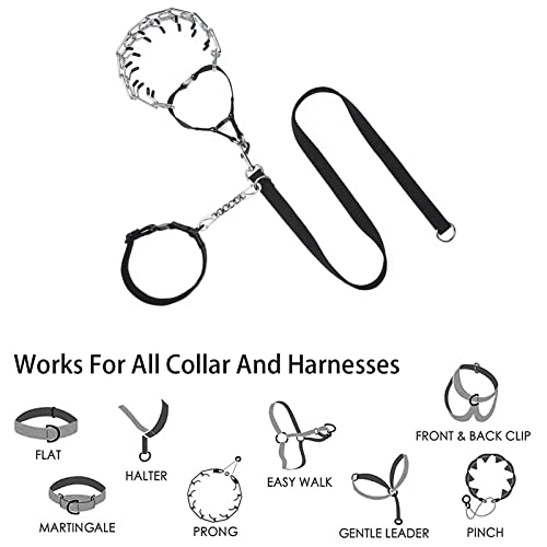 Dog Collar Safety Clip 2 Pack Metal Backup Connectors for Collars & Harnesses