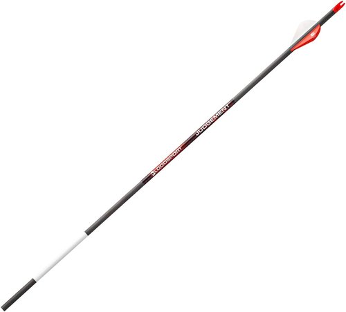 BLOODSPORT Standard Diameter Arrows