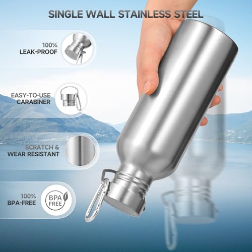 Uninsulated 32oz Stainless Steel Water Bottle with Handle - Silver