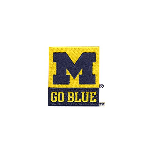 Insulated 16oz University of Michigan Wolverines Tumbler - Double Wall Drinkware