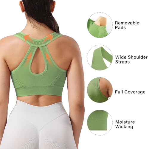 XX-Large Green Wine Support Women Seamless Sports Bra - Front Closure