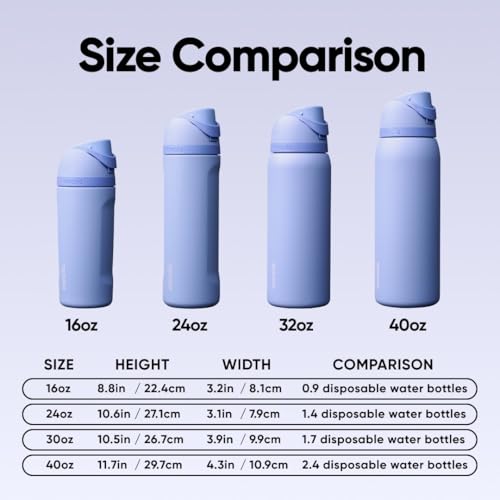 40 oz Insulated Stainless Steel Water Bottle with Locking Push-Button Lid - Out of the Blue