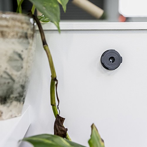 Quad Lock Adhesive Wall Mount Twin Pack for Phone Compatibility