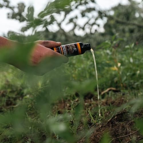 Deer Scent Blend with Buck Urine for Hunting, 2 oz - Wildlife Attractant