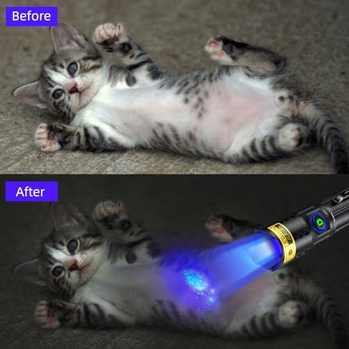 DARKDAWN UV Flashlight 365nm Blacklight £¬Mini USB-C Rechargeable LED with Black Mirror, Woods Lamp Powerful Fluorescent Portable Detector for Pet Urine Stains, Anti-counterfeiting Identification