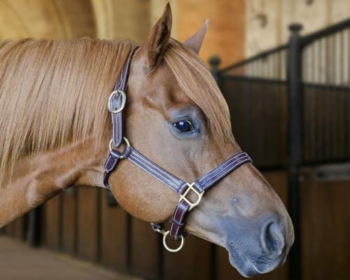 English Opulence Leather Horse Halter - Liverpool Fancy Stitch Adjustable - Full