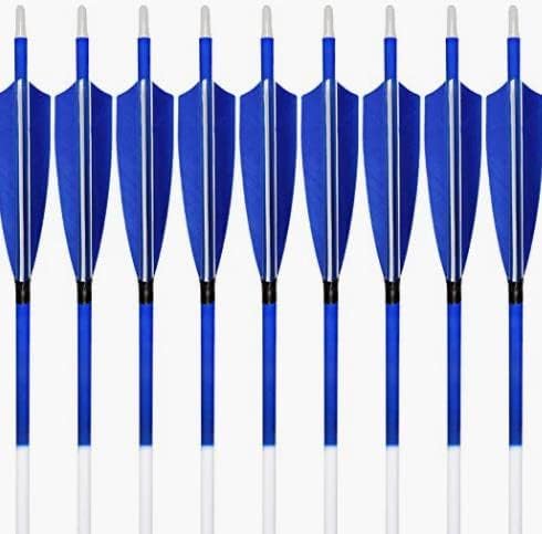 31Inch Carbon Arrows, Targeting Practice Hunting Arrow, Turkey Feather Fletching Arrow, with Removable Tips and nocks for Recurve & Compound Bow