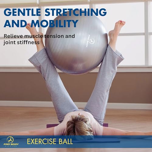ProBody Pilates Yoga Ball - Gym Grade Exercise Ball, Blue, 15-18 Inches