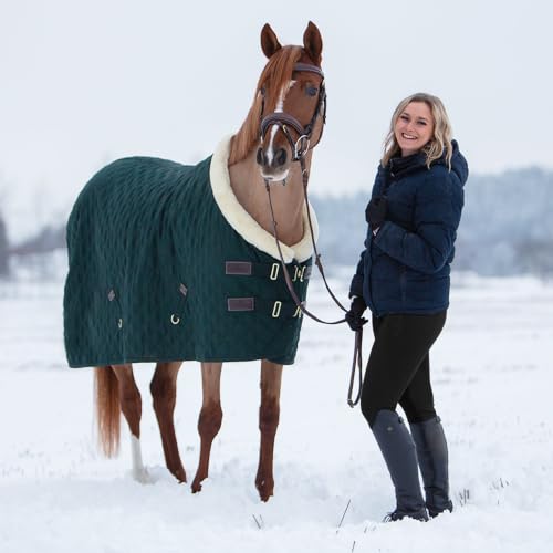 Women's Winter Riding Breeches Small Black Fleece-Lined Equestrian Pants