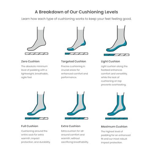 Smartwool Men's Run Targeted Cushion Low Ankle Socks