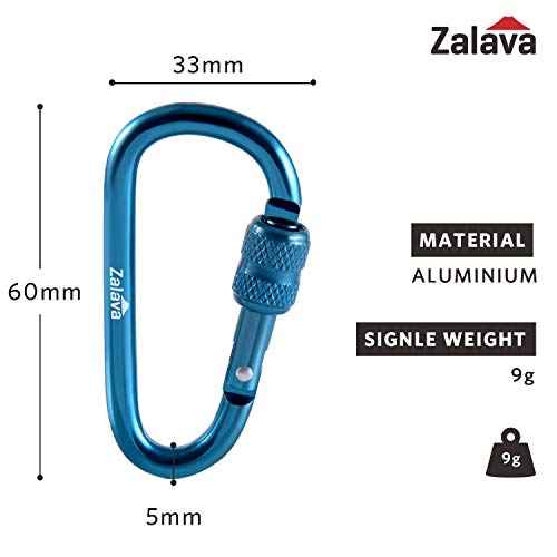 6pcs 2¡±D-Clip Durable Locking Carabiner Keychain Clip with Hook