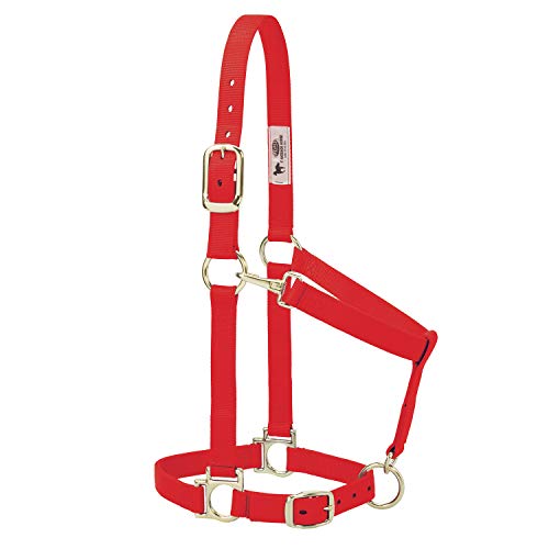 Large Pink Nylon Horse Halter with Padded Nose & Adjustable Fit - 1 Inch