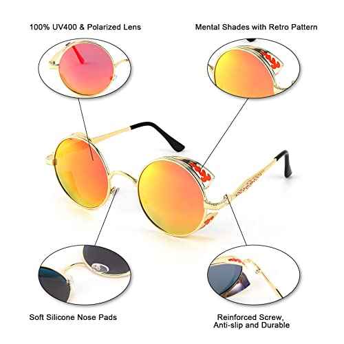 FEISEDY Retro Steampunk Polarized Sunglasses for Men Women, Round Metal Frame Gothic Vintage Style B2820