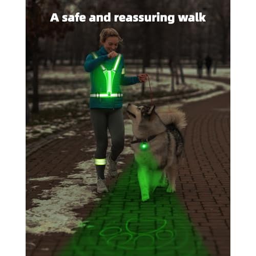 LED Reflective Vest Safety Gear, High Visibility Reflective Running Gear for Dog Walking Running Cycling, Adjustable for Men Women Kids - Reflective Armband and Dog Light with USB Rechargeable