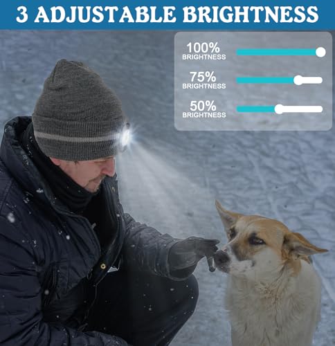 Reflective Stripe Beanie with Light - Warm Outdoor Hat (Black)