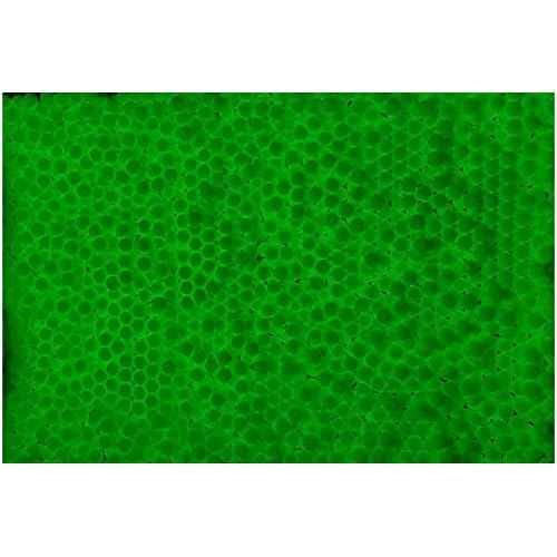 Lancer Tactical Pro Series 0.28g Tracer Airsoft BBS 4000 RoundsX3