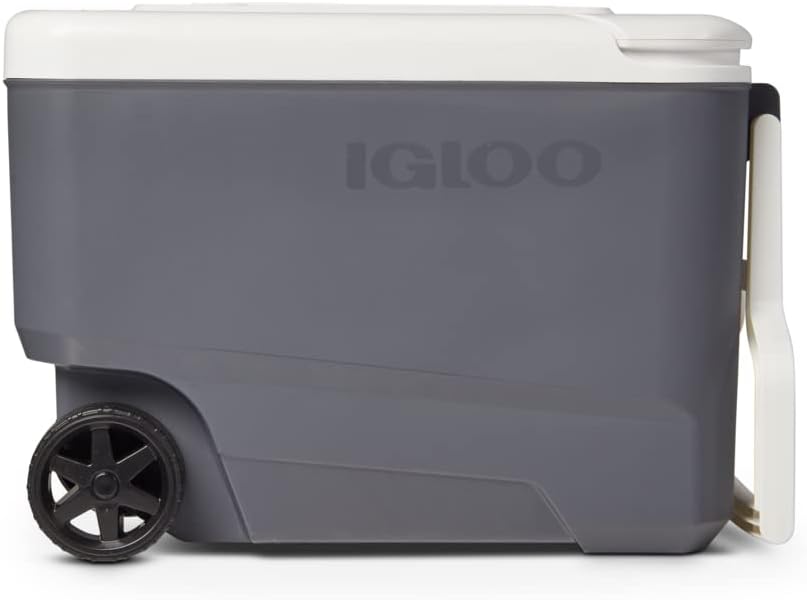 Igloo Iceless Thermoelectric Cooler, Portable Cooler Electric, Plug-in 12V Camping Fridge Cooler, Electric Ice Chest, Hielera Electrica
