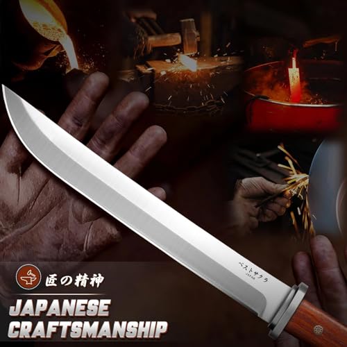 9.8 Inch Japanese Tanto Knife Fixed Blade with Rosewood Handle & Leather Sheath