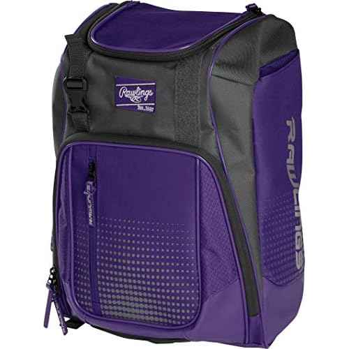 Rawlings | FRANCHISE Backpack Equipment Bag | Baseball/Softball | Rec/Travel | Multiple Styles