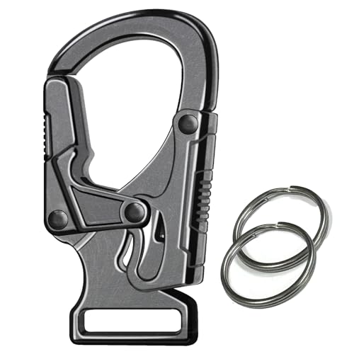 Ahiller Carabiner Clip,1.9'' Alloy Car Keychain Clip with 2 Key Ring,Outdoor Hooks,Small Key Holder for Man and Women