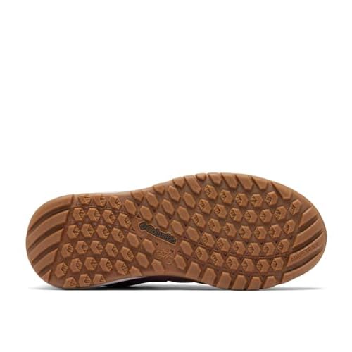 Columbia Women's Landroamer Trailrider Hiking Shoe